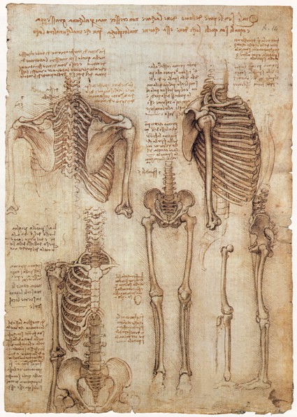 Leonardo Probes the Nature of Mankind.