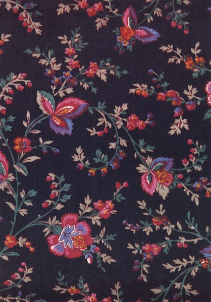 Green leaves and stems with red flowers on dark field.