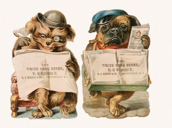 Two Dogs read Newspapers.