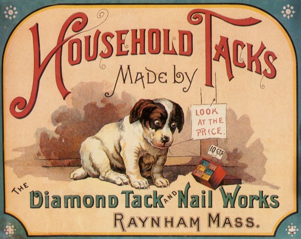 Dog looks at Box of Tacks.