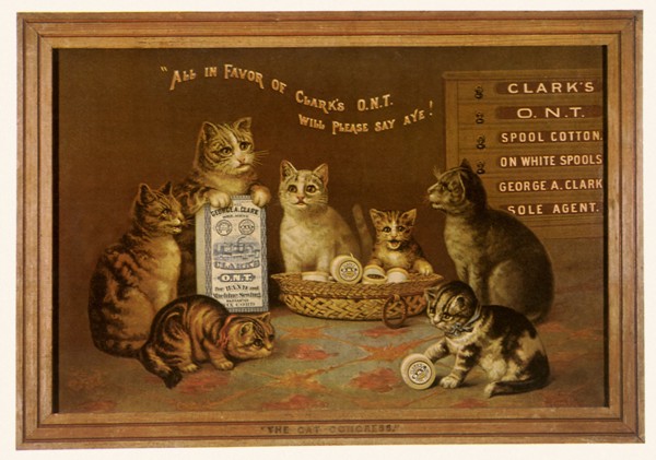 The Cat Congress.