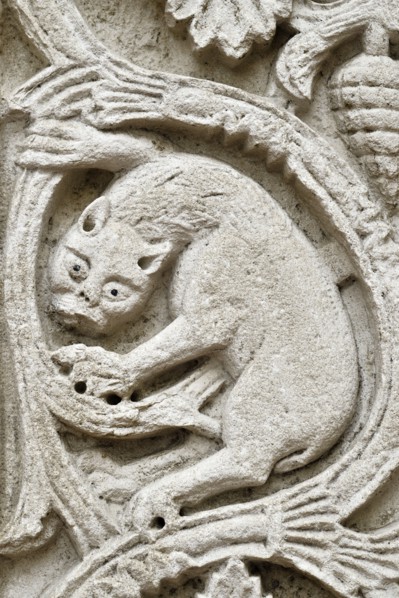 Ancona (Marche - An)