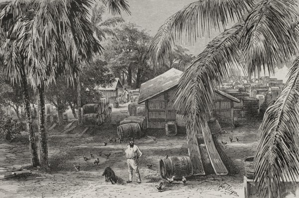 History of Africa