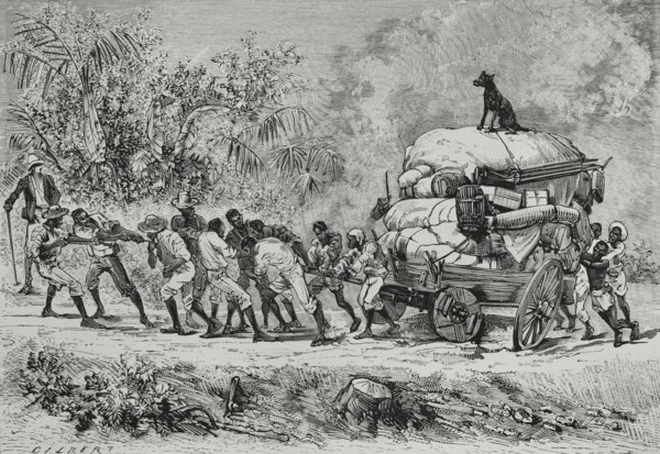 History of Africa
