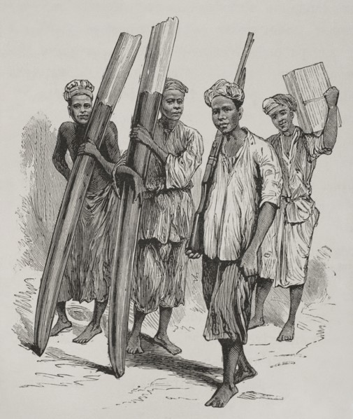 History of Africa