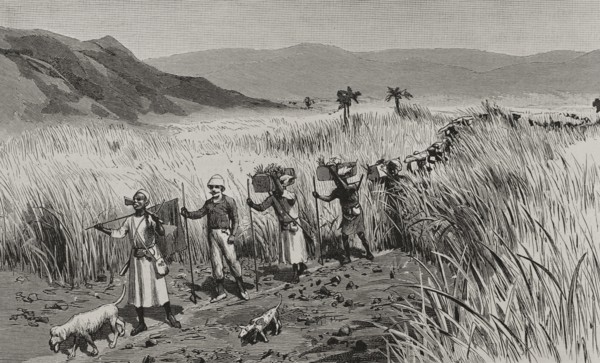 History of Africa
