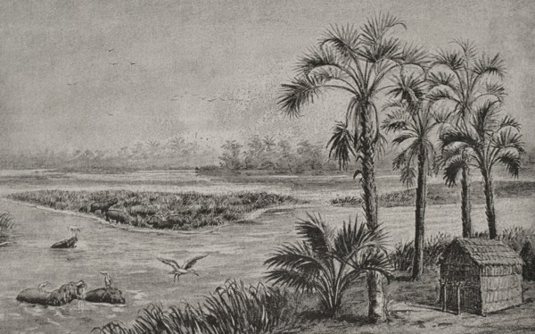 History of Africa