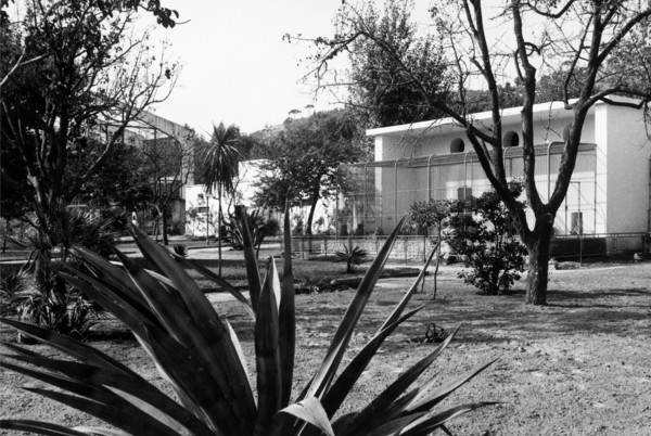 europe, italy, naples, mostra d'oltremare, zoo