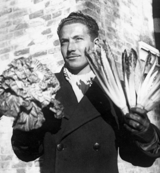 chicory, 1950