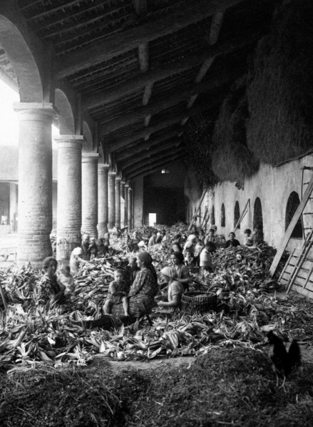 farm, 1930-1940