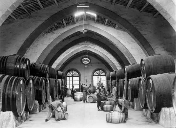 italy, wine industry
