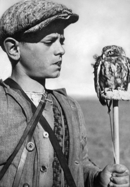 lark hunting
