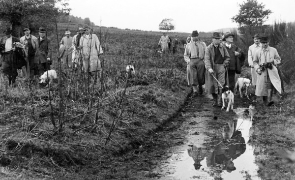 italy, lazio, hunting
