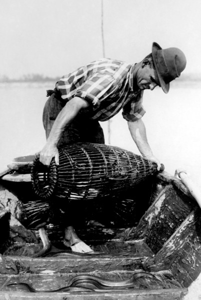 pêche à l'anguille sur le po' de cremona, 1930-1940