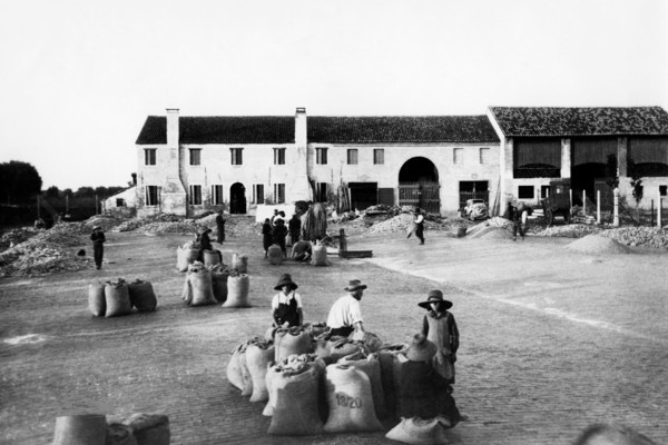 italie, veneto, agriculteurs dans la cour de ferme pour le séchage des céréales, 1920 1930