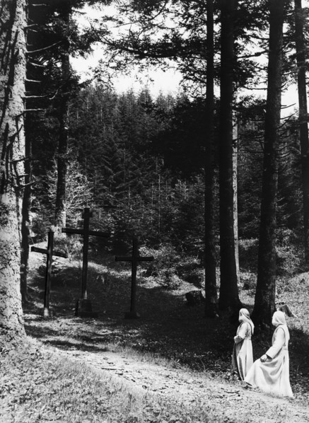 italie, toscane, camaldoli, moines dans la forêt vers l'ermitage, années 1920