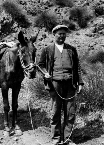 italie, sicile, un berger, 1924