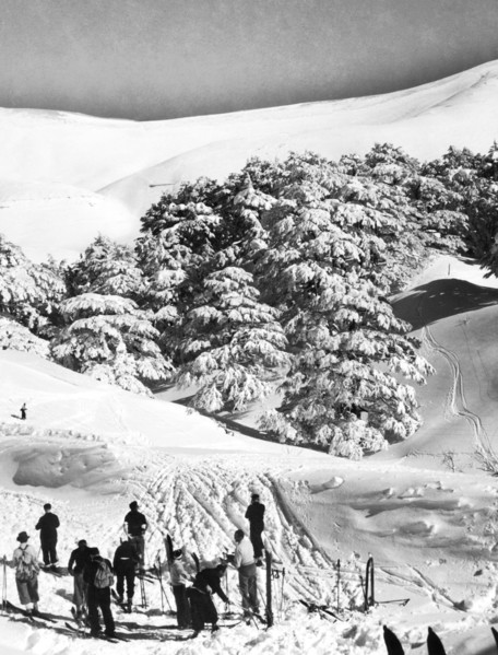moyen-orient, liban, vallée de kadisha, skieurs près de la forêt de cèdres, 1920 1930