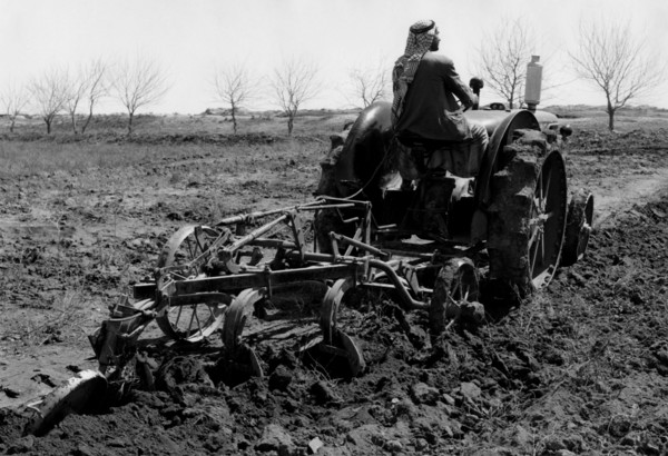 moyen-orient, un fellah conduisant un tracteur, 1957