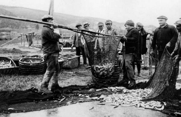 italie, toscane, orbetello, pêcheurs au travail, 1920 1930