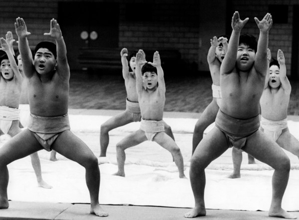 japon, tokyo, lutteurs sumo, 1970