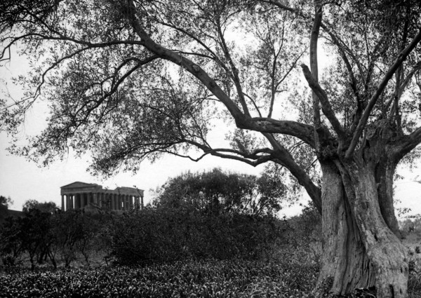 europe, italie, sicile, agrigento, vue du temple de la concorde, 1920 1930