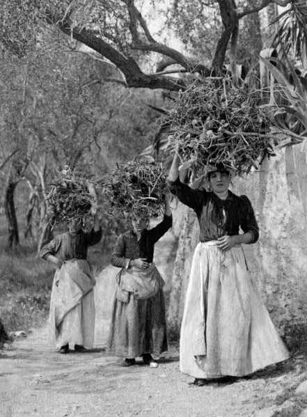 europa, italy, calabria, silane peasant women, 1910 1920