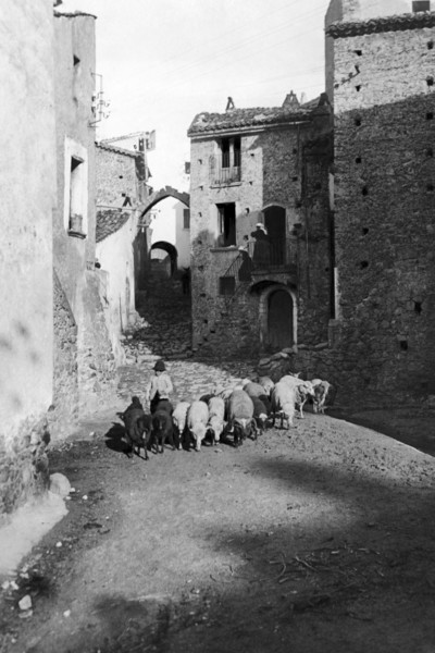 europe, italie, calabre, san giovanni in fiore, berger au village, 1910 1920