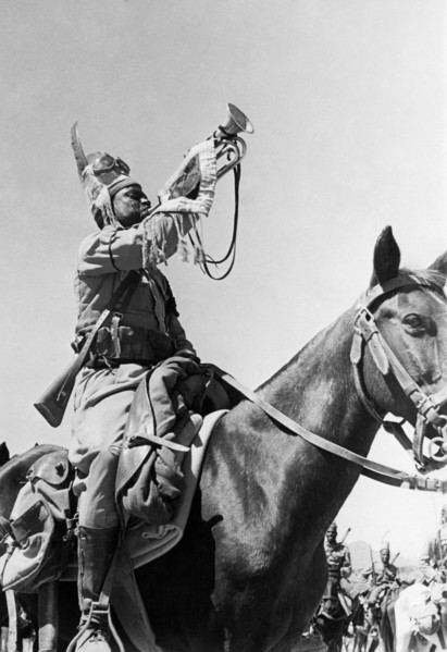 afrique, eritrea, assemblée de cavalerie, 1920 1930