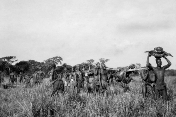 afrique, congo belge, des membres de la tribu mangbetu transportent de la viande obtenue auprès de pygmées, 1927 1930