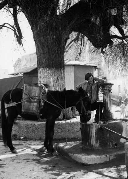 europa, italy, calabria, oriolo, homme avec mule à la fontaine, 1961