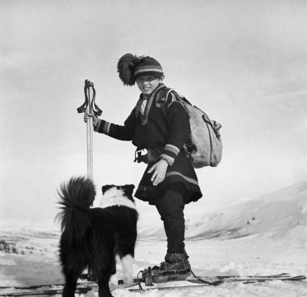 garçon lapon avec son chien, finlande, 1939