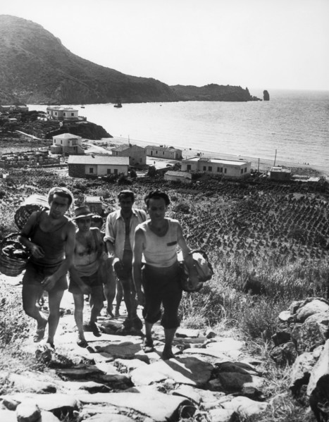 agriculteurs, isola del giglio, toscane, italie, 1964