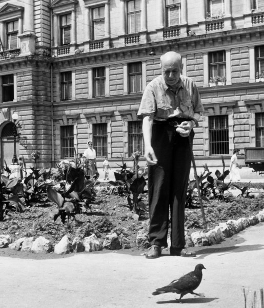 portrait d'umberto saba, 1956