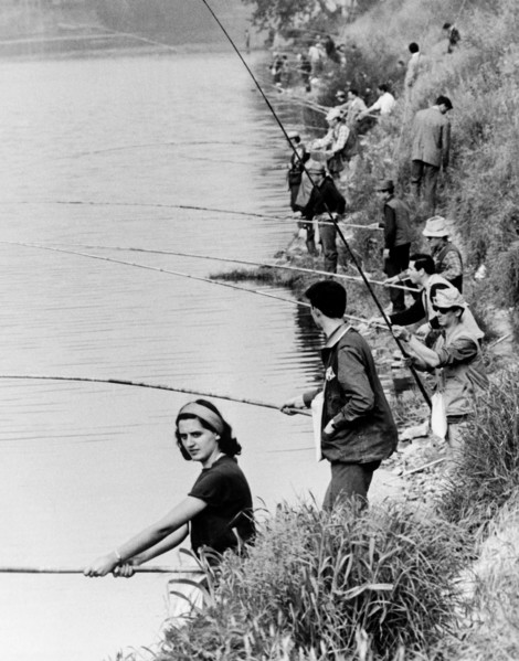 pêche le long du ticino, 1965