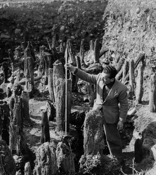 vestiges d'une habitation sur pilotis sur le mincio à isolone, 1957