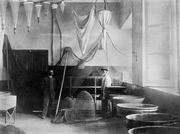 Fishing Department Of A Zoological Station. Naples 1910-20