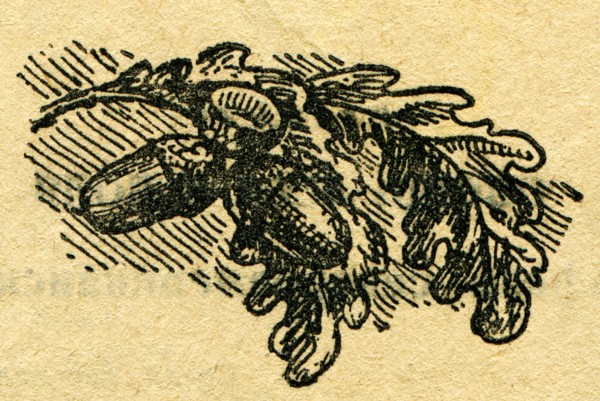 In the wake of Robinson Crusoe.