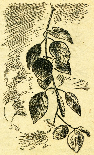 In the wake of Robinson Crusoe.