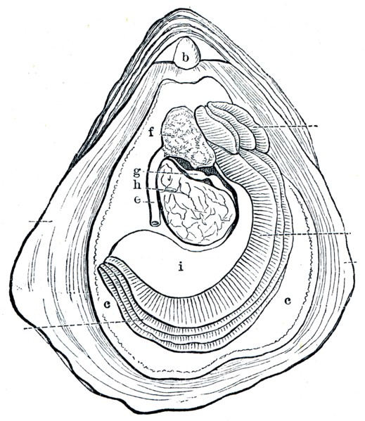 Historical illustrations.