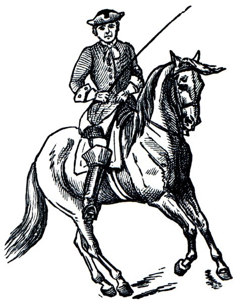 Graduate School of Riding - Pirouette.