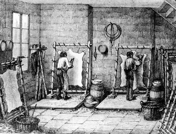 Tannery In France.