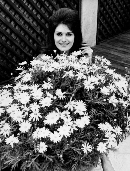 Dalida and Terrazza Martini.