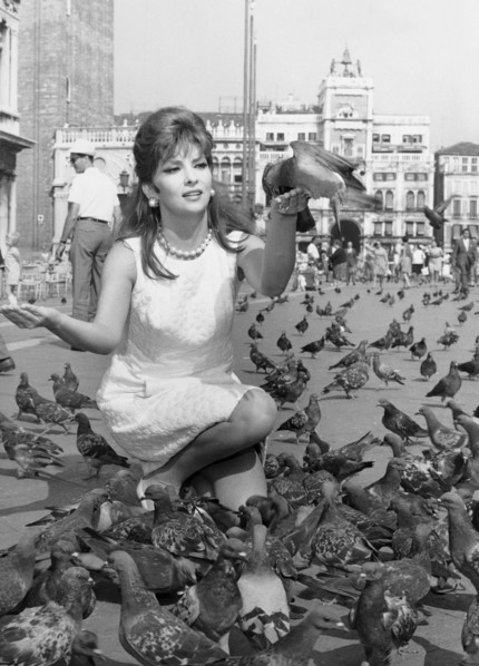 Gina lollobrigida