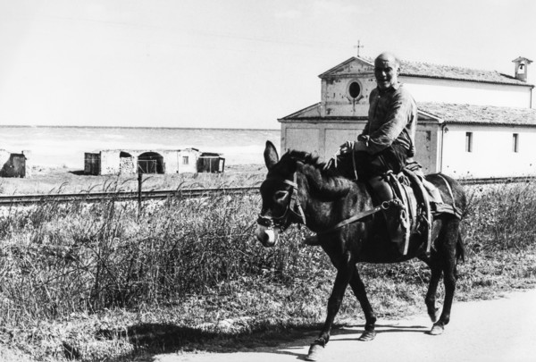 Man ride his donkey, ionian sea, calabria, italy, 60's