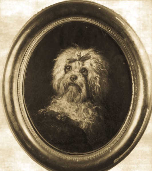 Lulu, the little dog of giuseppe Verdi