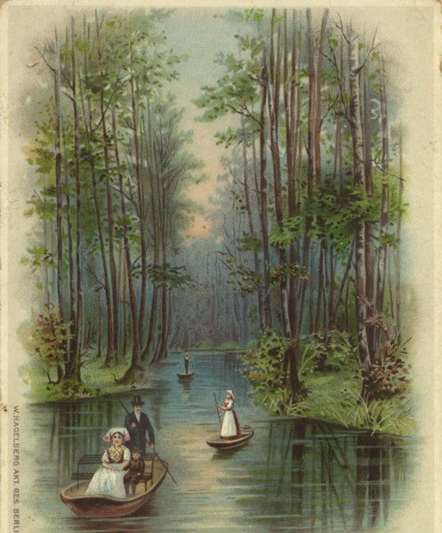 Spreewald near Lübben, district Dahme-Spreewald in Lower Lusatia in Brandenburg, Germany, view from