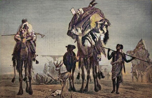 The wandering harem of a Bedouin in the desert