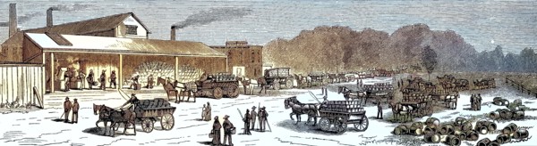Thurber & Co cannery in Moorestown