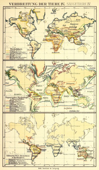 Distribution Of Animals According To Brehm'S Animal Life In The 19Th Century